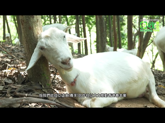 DOCUMENTARY VIDEO FOR 回收基金 (PACKAGE F） — V1 Video Production企業影片製作作品