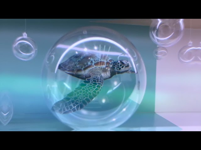 PROMOTION VIDEO FOR EVOLCARE (PACKAGE E） — V1 Video Production企業影片製作作品